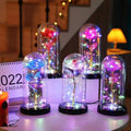 Popular Galaxy Color Roses with LED Light in PVC Dome Waterproof & Eco-Friendly for Indoor Use on Mother's Day & Valentine's Day