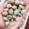 Hot Sale Natural Healing Crystal Good Flash Moonstone with Sunstone Tumbled Quartz Healing Stone Folk Crafts