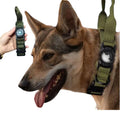 Luxury GPS Dog Collar Tracker Tactical Explosion-proof Training Pet Collar with Nylon Material and Ribbon Decoration