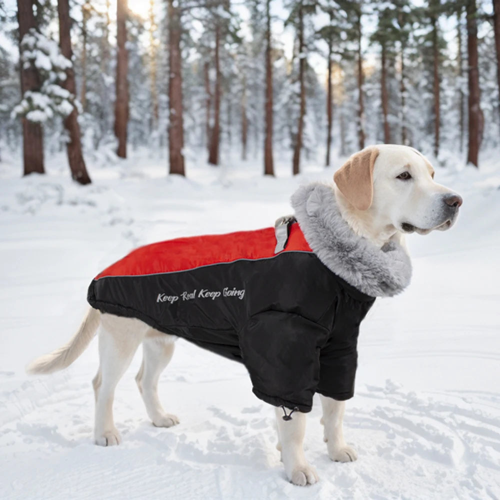 Customizable Pet Clothes With Thickened Windproof Waterproof Dog Clothing Reflective Medium and Large Dog Pet Quilted Coat