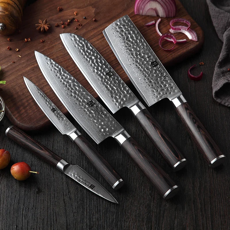 5pcs Knives High Quality 67 Layers Damascus Steel Kitchen Knife Set Pakka Wood Handle Custom