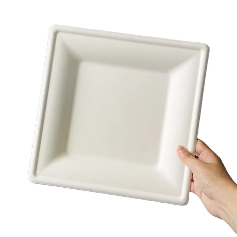 High Quality Biodegradable Disposable Sugarcane Bagasse Food Container 10 Inch Square Plate