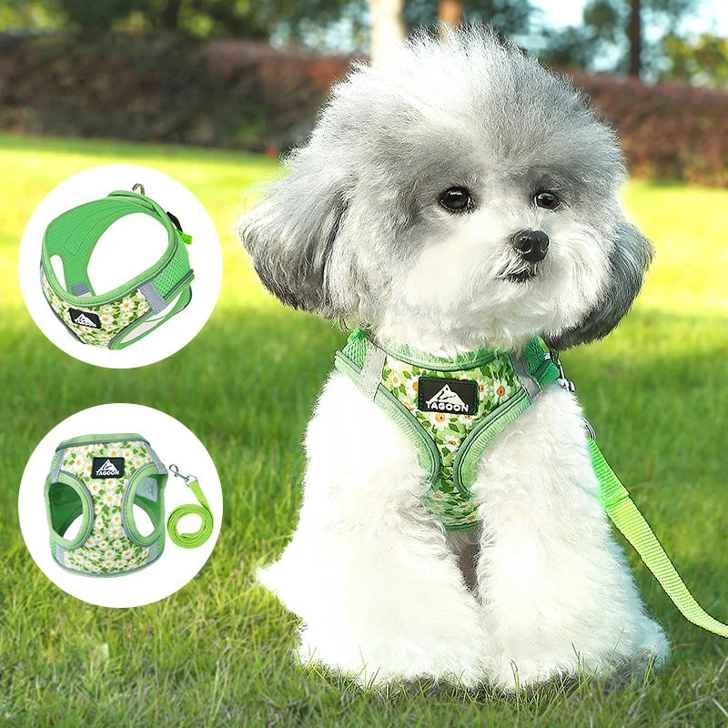 Personalized Logo Small Daisy Dog Harness Set Lead Rope Cotton Small to Medium Sized Pet Harness