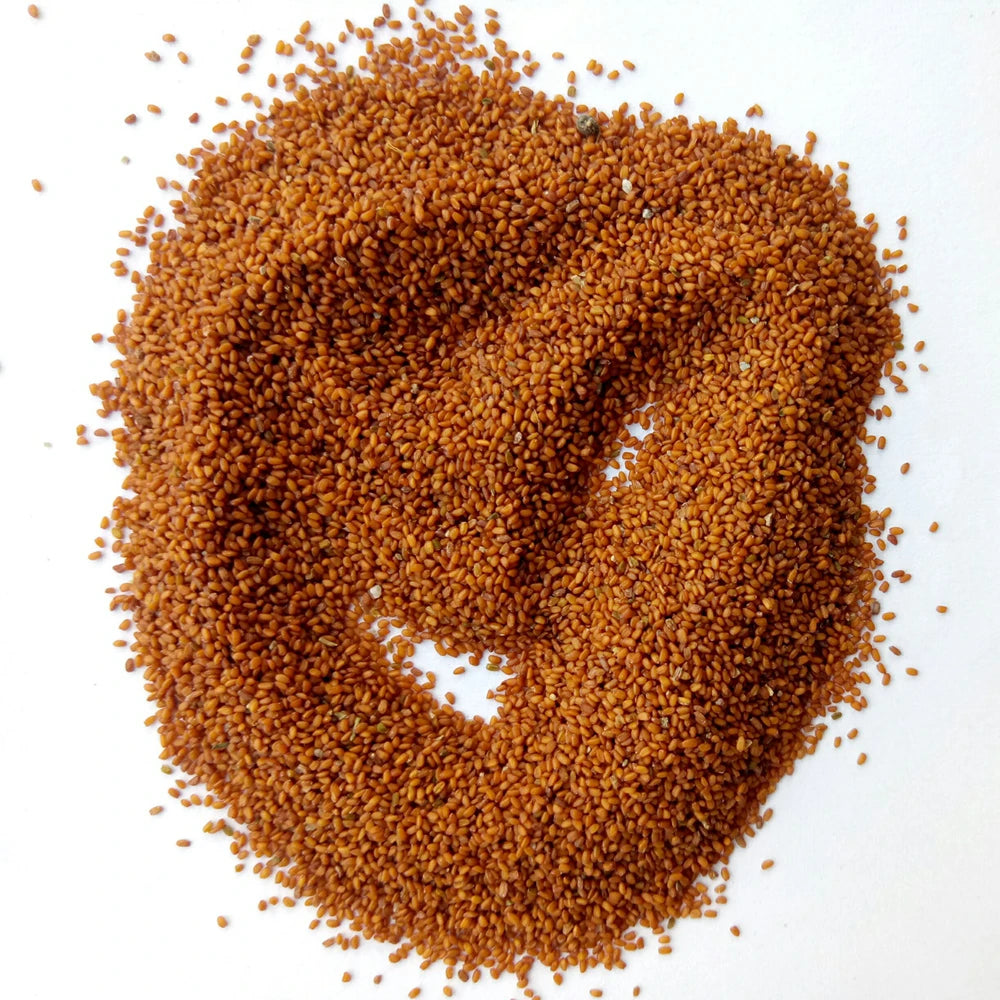 TING LI ZI Dried Herb Lepidium Seed BULK Draba Nemorosa NEW Descurainiae Semen