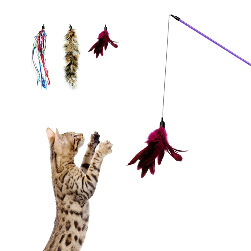 Creative Feather 3 Replacement Heads FPet Toys Not Support Everyday FCS-1408 Stocked CN;GUA Cat Teaser Cat Feather Toy