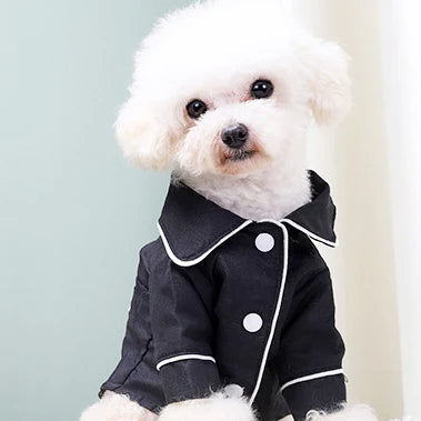 Wholesale Luxury Summer Silk Pet Dog Pajamas