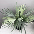 Wholesale Artificial Succulent Plants Tropical Fern Green Plants Leaves for Wedding Scene Wall Arrangement Materials