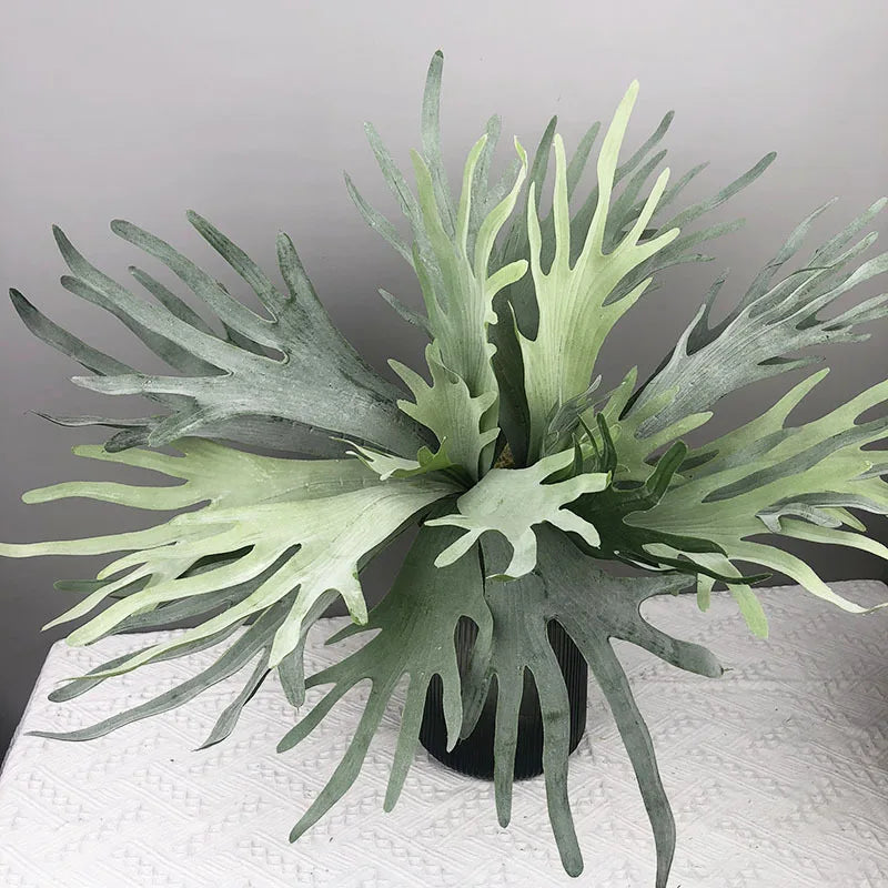Wholesale Artificial Succulent Plants Tropical Fern Green Plants Leaves for Wedding Scene Wall Arrangement Materials
