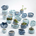 House Balcony Landscape Creative Decorative Flower Pot Succulent Planter Pots Cute Blue Whale Ceramic  Flower Pot
