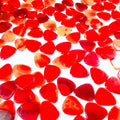 Diy Gemstone Natural Carnelian Guitar Picks Healing Stone