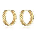 Wholesale 18K Gold Plated Trendy Fashion Hoop Earrings Stylish Jewelry Accessory for Women