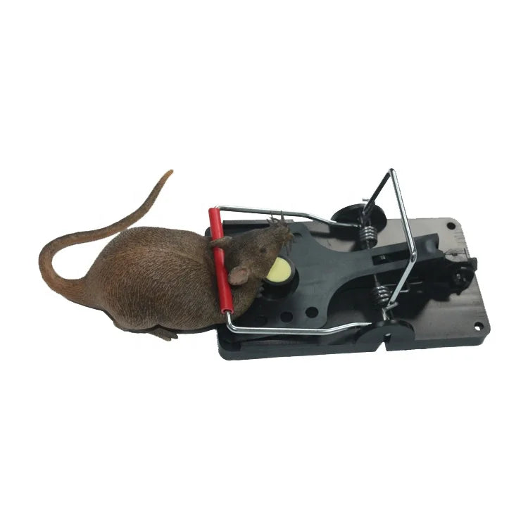 Humane Kill Plastic Black Rat Snap Trap for Pest Control Service Operators Rat Trapping