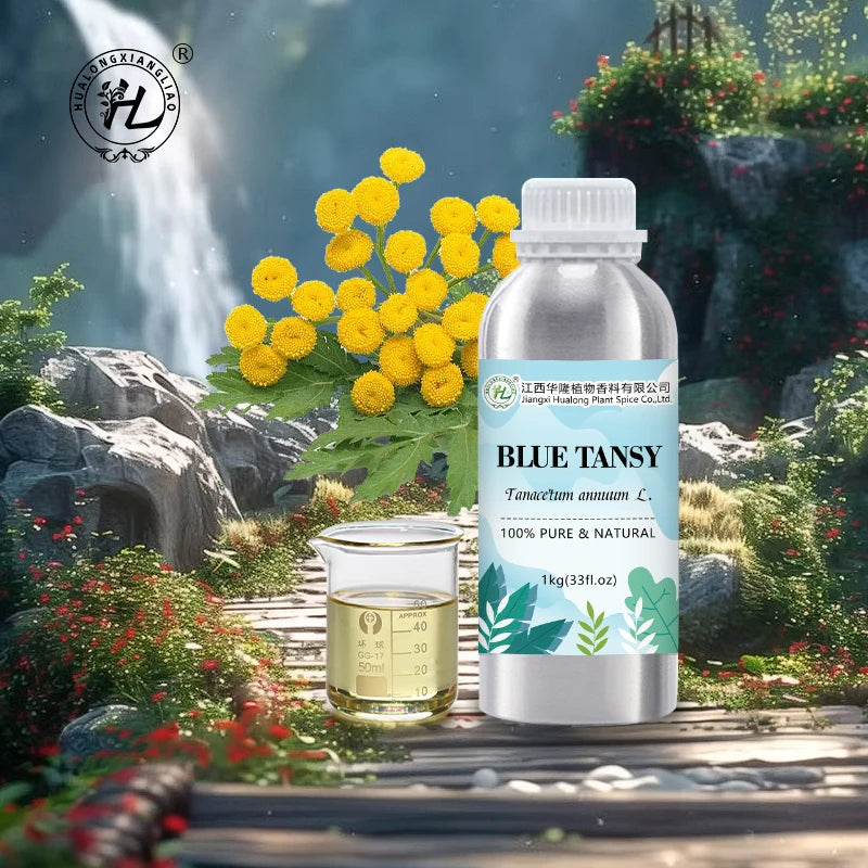 Blue Tansy Essential Oil for Aromatherapy Diffuser - 100% Pure Natural Plant Extract Therapeutic Grade | Bulk Price 1kg
