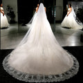 Car Bone Sequin Shimmer Bride Wedding Veil Fancy Embroidery Ins Long Trailing French Lace Bridal Ivory Veil