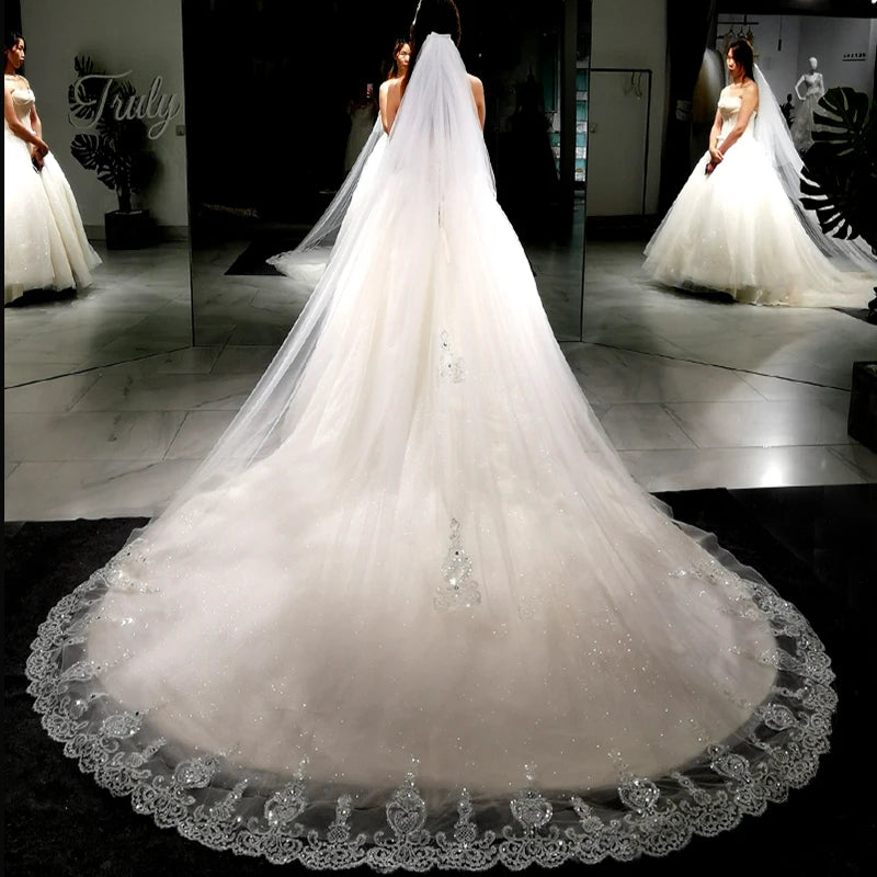 Car Bone Sequin Shimmer Bride Wedding Veil Fancy Embroidery Ins Long Trailing French Lace Bridal Ivory Veil