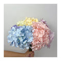 Five-headed Leafless Hydrangeas Popular Artificial Flowers Decorative