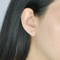 Wholesales Newest Fashion Moon Zircon Stone Inlaid Rose Gold S925 Sterling Silver Women's Stud Earrings
