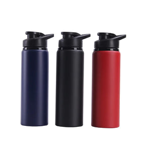 Wholesale Custom Logo 600ml 750ml Aluminum Sing Wall Sports Water Bottle Bpa Free Lid Flask With Handle