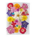 Wholesale Mini Dry Flower Materials Bag DIY Makeup Nail Art Phone Frame Cake Decor Real Natural Dried Pressed Flowers for Resin