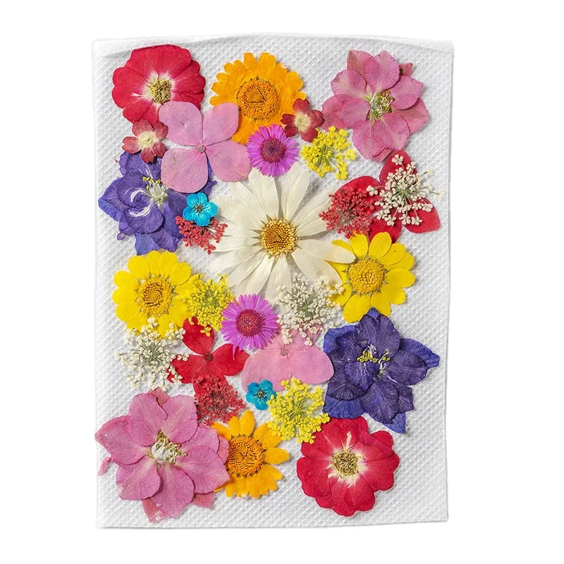 Wholesale Mini Dry Flower Materials Bag DIY Makeup Nail Art Phone Frame Cake Decor Real Natural Dried Pressed Flowers for Resin