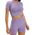 Women Gym Yoga Suit Fitness Yoga Set Short Sleeve + Yoga Sports Seamless Women Fitness & Wholesale Gym Wear