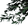 Dried Eucalyptus Leaves Flowers Preserved Eucalyptus Leaves Floral Decors Immortal Flower for Wedding Design MegaBDM