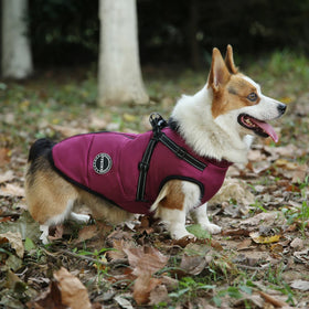 OEM/ODM Design Dog Clothes Factory Manufacturer Wholesale Pet Costumes Dog Greyhound Jackets Winter Dog Vest