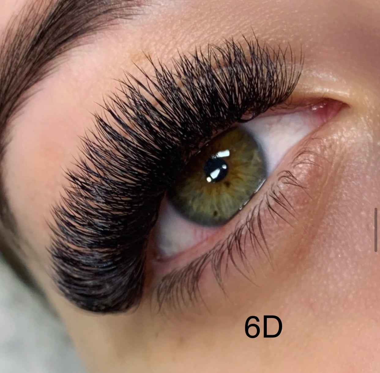 Russian Volume Fan Lashes with Custom Lash Trays Premade Volume Fans Eyelash Extension