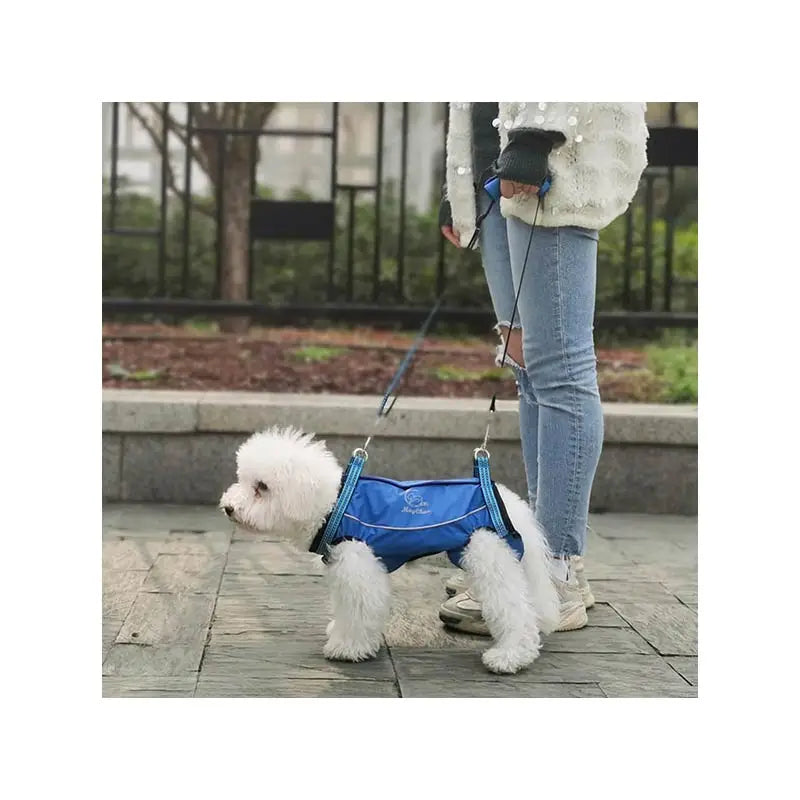 Elastic Collar Mochila Perro Mascotas Gatos Pet Pack Shoulder Cage Multi-sizes Hiking Pet Dog Harness With Leashes