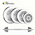 PINJIAN Cast Iron Weight Lifting Plate Gym Equipment Fitness Metal Steel Barbell Dumbbell Calibrated Weight Plates