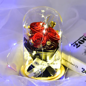 O-X0134 Wholesale Little Prince Led Rose Flower Light Preserved Rose Gift With Glass Dome Rose Light Preserved Flower With Glass