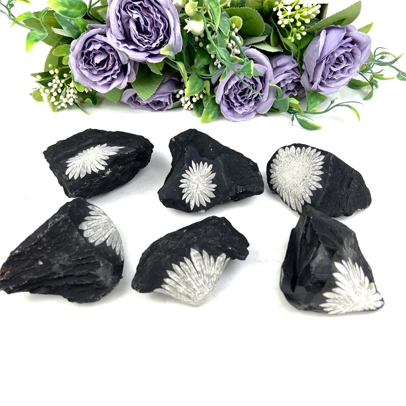 Wholesale Polished Crystal Specimen Stone Chrysanthemum Stone Irregular Shape Letterpress Printed Eco-friendly Fashion Trend