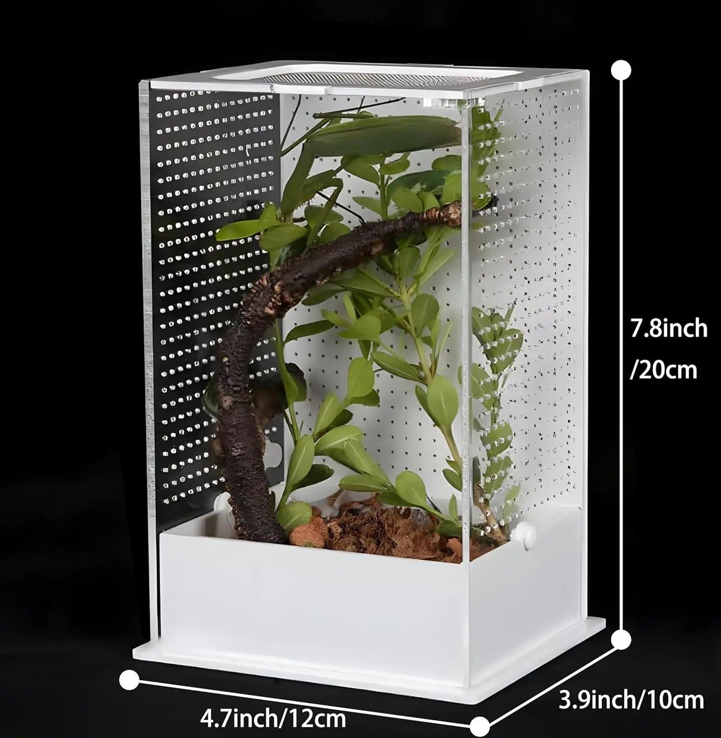 Small 4.7\" X 3.9\" X 7.8\" Spider Terrarium for Jumping Spiders Praying Mantis Other Invertebrates Display Rack for Arboreal