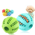 Rubber Dog Treat Ball Food Dispensing Toy for Teething Interactive Chew Toys Rolling Ball Bollocks Dog Toys Luxury