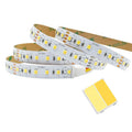 SMD2835 2 in 1 CCT LED Light Strips DC24V 12W High CRI90 Tunable Flexible LED Stripe for Smart Home Lights