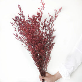 Wholesale Home Decoration Preserved Flowers Desmodium Gyrans Valentine's Grass for Christmas Thanksgiving Chinese New Year