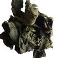 Du Zhong Ye China Native Hardy Rubber Tree Eucommia Leaf Eucommia Ulmoides Leaves for Sale