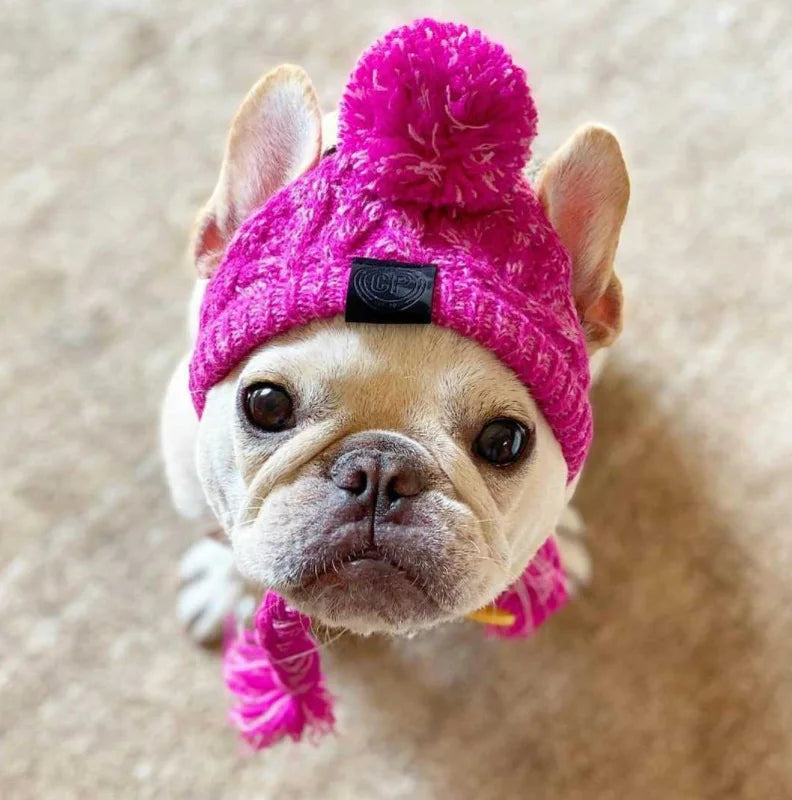 Wholesale Pets Accessories Cats Knitted Caps Adjustable Winter Warm Dog Hat Puppy Headwear