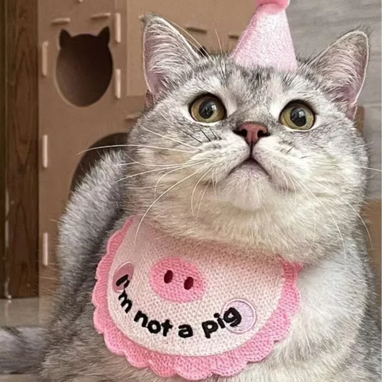 Shengchaoyi Luxury Simple Cat and Dog Party Scarf Cute Pet Bib Hat for Puppy's Birthday Classic Pig Saliva Towel