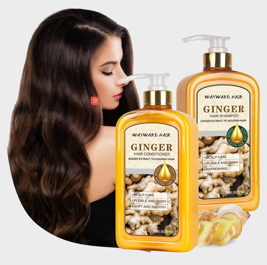Wayward Hair Private Label Wholesale OIL-CONTROL Anti-Itching Anti Hair Loss Ginger Shampoo for Hair