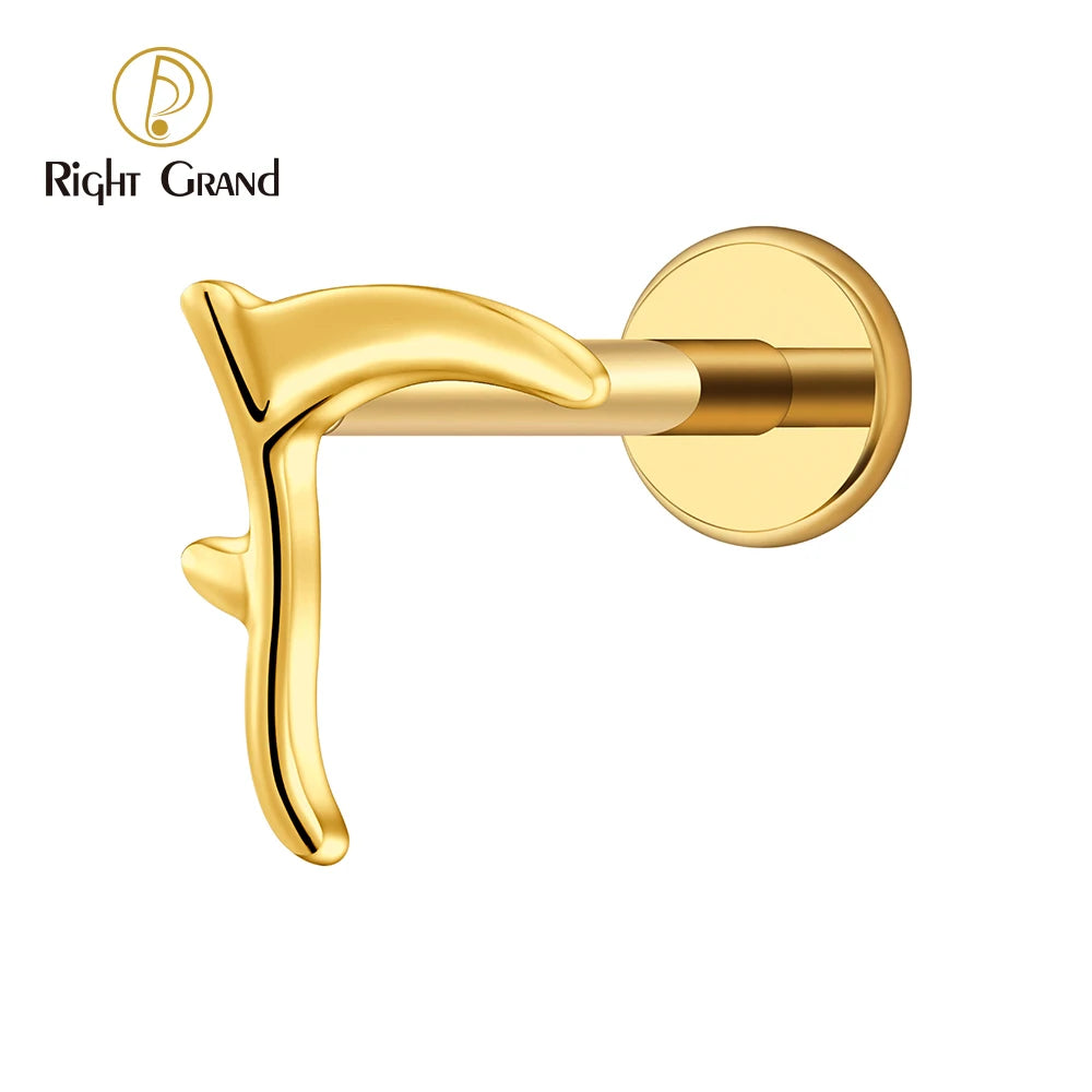 ASTM F136 Titanium Earring Piercing Jewelry Internally Threaded Ear Tragus Gold  Fashion Womens Stud Earrings