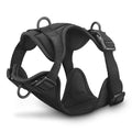 Wholesale Training Dog Harness Leash Set Safety Dog Harness Plastic Release Buckle Lights Solid Nylon Dog Collar Customer Logo