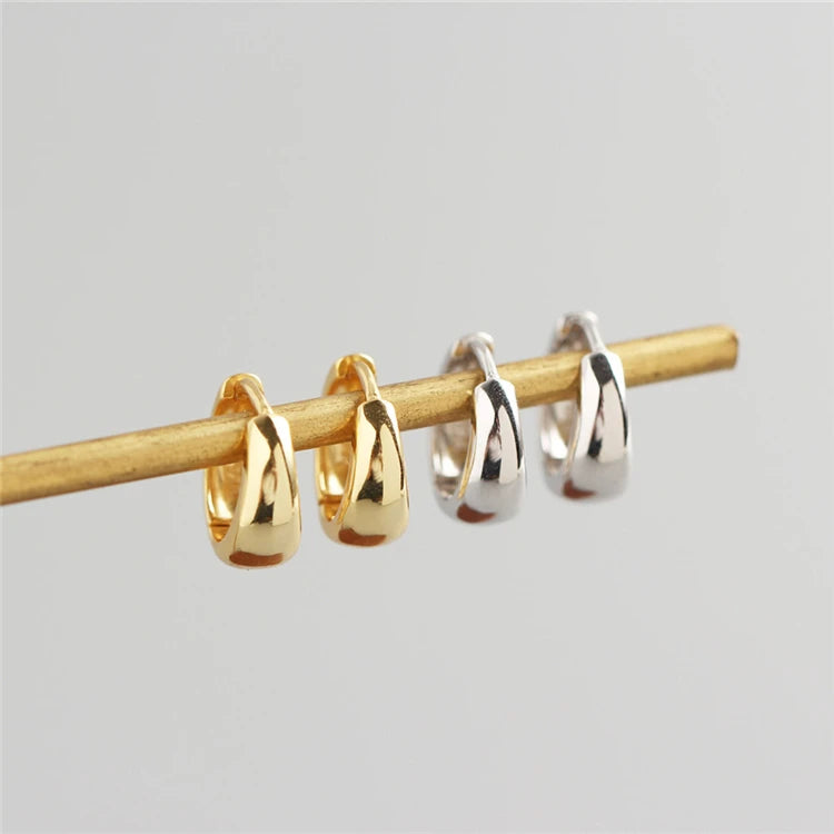 Gold Plated Earrings Pure Silver Jewelry Earrings Women Gifts Silver Jewelry Earrings 925