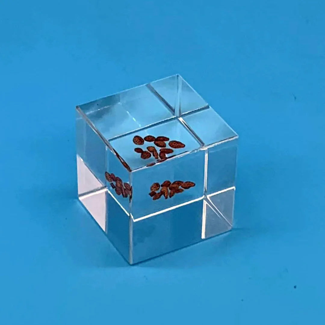 Customized Resin Cube Display Rack with Moulding Insert Insect Resin Block