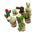 8-in-1 DIY Crafts Set for Beginners Needle Felting Wool Felted Succulent Plants Artificial Cacti Pots Includes Silicone Supplies