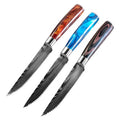 Hot Sale 5 Inch Damascus Pattern Steak Knife Professional Chef Carbon Steel Serrated Butcher Knife for Restaurant Use