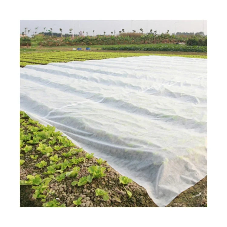 Agriculture Breathable High Tea Resistant 100% Virgin pp Spunbond Farm Nonwoven Fabric Crop Cloth