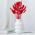 Every Love Wholesale 60 PCS/Bunch Natural Color Dried Lagurus Ovatus Rabbit Tails Grass for Home Decoration