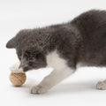 Wholesale Eco-Friendly Cat Chew Toys Feather Rattan Bell Sound Ball and Double Ball Set Pet and Plant Straw Bell