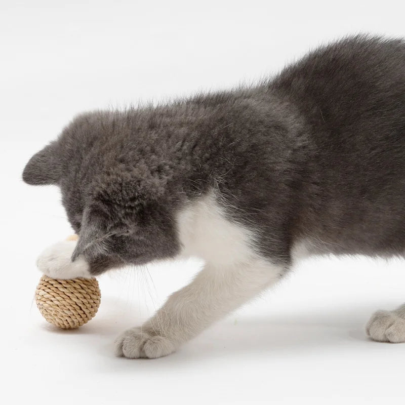 Wholesale Eco-Friendly Cat Chew Toys Feather Rattan Bell Sound Ball and Double Ball Set Pet and Plant Straw Bell